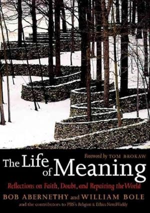 Bild des Verkufers fr Life of Meaning : Reflections on Faith, Doubt, and Repairing the World zum Verkauf von GreatBookPrices