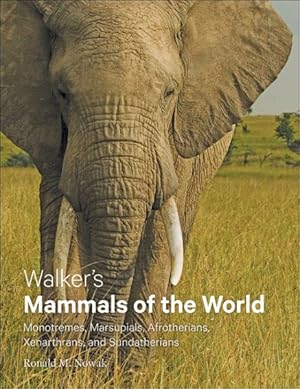 Seller image for Walker's Mammals of the World : Monotremes, Marsupials, Afrotherians, Xenarthrans, and Sundatherians for sale by GreatBookPrices