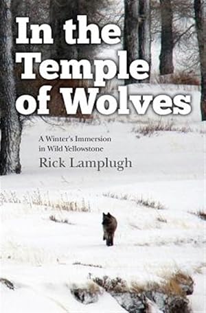 Bild des Verk�ufers f�r In the Temple of Wolves : A Winter's Immersion in Wild Yellowstone zum Verkauf von GreatBookPrices