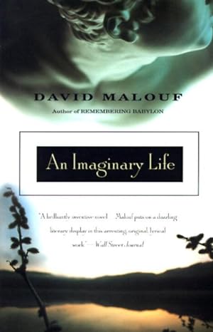 Imagen del vendedor de Imaginary Life : A Novel a la venta por GreatBookPrices