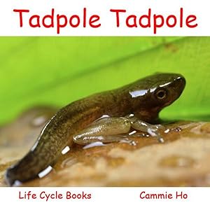 Immagine del venditore per Tadpole Tadpole venduto da GreatBookPrices
