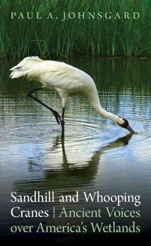 Seller image for Sandhill and Whooping Cranes : Ancient Voices over America's Wetlands for sale by GreatBookPrices