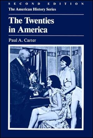 Seller image for Twenties in America for sale by GreatBookPrices