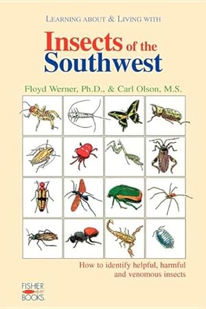 Imagen del vendedor de Learning About & Living With Insects of the Southwest : How to Identify Helpful, Harmful and Venomous Insects a la venta por GreatBookPrices