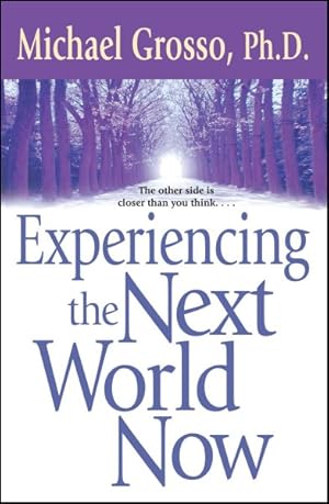 Imagen del vendedor de Experiencing the Next World Now a la venta por GreatBookPrices