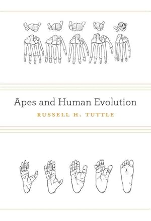 Seller image for Apes and Human Evolution for sale by GreatBookPrices