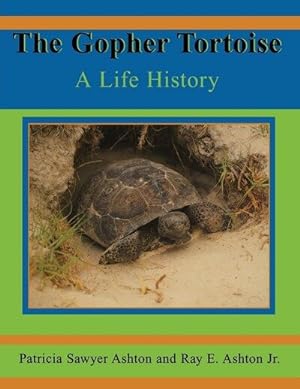 Seller image for Gopher Tortoise : A Life History for sale by GreatBookPrices