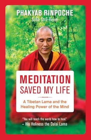 Bild des Verkufers fr Meditation Saved My Life : A Tibetan Lama and the Healing Power of the Mind zum Verkauf von GreatBookPrices