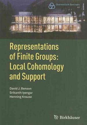 Seller image for Representations of Finite Groups: : Local Cohomology and Support for sale by GreatBookPrices
