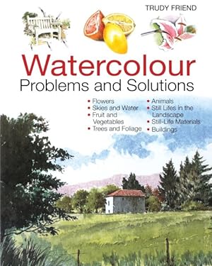 Imagen del vendedor de Watercolour Problems and Solutions : A Trouble-Shooting Handbook a la venta por GreatBookPrices