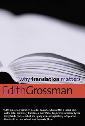 Imagen del vendedor de Why Translation Matters a la venta por GreatBookPrices