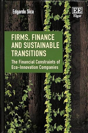 Immagine del venditore per Firms, Finance and Sustainable Transitions : The Financial Constraints of Eco-Innovation Companies venduto da GreatBookPrices