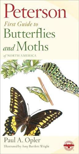 Image du vendeur pour Peterson First Guide to Butterflies and Moths mis en vente par GreatBookPrices