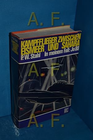 Seller image for Kampfflieger zwischen Eismeer und Sahara : in meinem Fall, Ju 88 for sale by Antiquarische Fundgrube e.U.