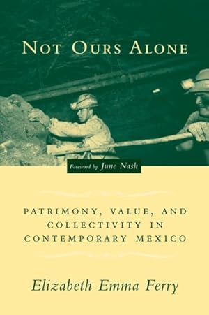 Imagen del vendedor de Not Ours Alone : Patrimony, Value, and Collectivity in Contemporary Mexico a la venta por GreatBookPrices