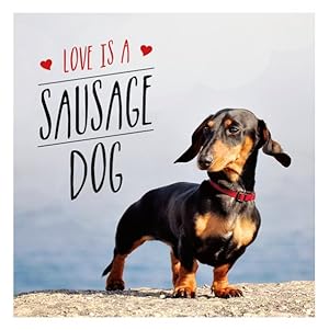 Bild des Verkufers fr Love Is a Sausage Dog zum Verkauf von GreatBookPrices