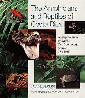 Image du vendeur pour Amphibians And Reptiles of Costa Rica : A Herpetofauna Between Two Continents, Between Two Seas mis en vente par GreatBookPrices