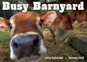 Immagine del venditore per Busy Barnyard venduto da GreatBookPrices