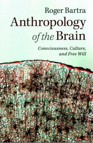 Immagine del venditore per Anthropology of the Brain : Consciousness, Culture, and Free Will venduto da GreatBookPrices