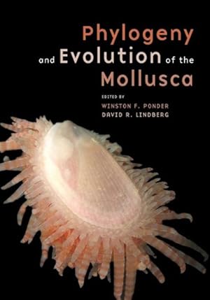 Seller image for Phylogeny and Evolution of the Mollusca for sale by GreatBookPrices