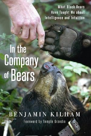 Image du vendeur pour In the Company of Bears : What Black Bears Have Taught Me About Intelligence and Intuition mis en vente par GreatBookPrices