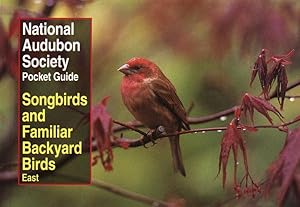 Imagen del vendedor de Songbirds and Familiar Backyard Birds/Eastern Region a la venta por GreatBookPrices