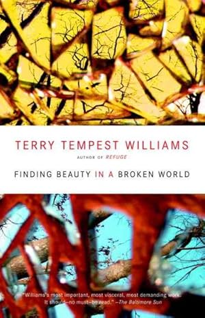 Seller image for Finding Beauty in a Broken World for sale by GreatBookPrices