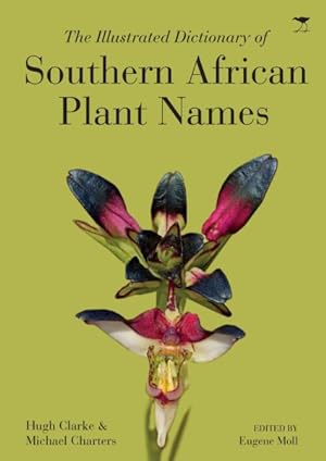 Imagen del vendedor de Illustrated Dictionary of Southern African Plant Names a la venta por GreatBookPrices