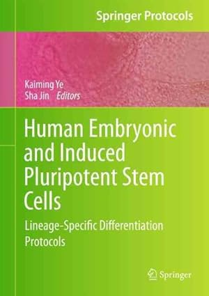 Seller image for Human Embryonic and Induced Pluripotent Stem Cells : Lineage-Specific Differentiation Protocols for sale by GreatBookPrices