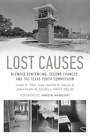 Image du vendeur pour Lost Causes : Blended Sentencing, Second Chances, and the Texas Youth Commission mis en vente par GreatBookPrices