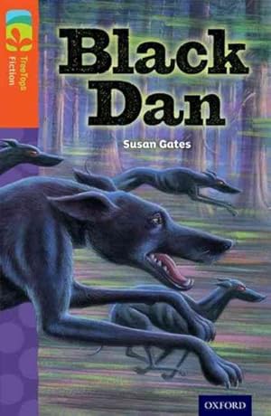 Imagen del vendedor de Oxford Reading Tree Treetops Fiction: Level 13 More Pack A: Black Dan a la venta por GreatBookPrices
