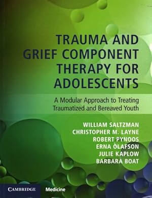 Seller image for Trauma and Grief Component Therapy for Adolescents : A Modular Approach to Treating Traumatized and Bereaved Youth for sale by GreatBookPrices