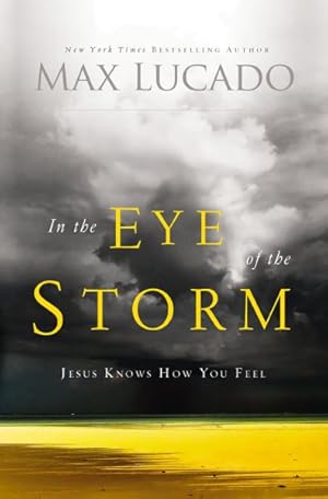 Seller image for In the Eye of the Storm : Jesus Knows How You Feel for sale by GreatBookPrices