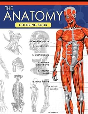 Bild des Verkufers fr Anatomy Coloring Book : A Complete Study Guide (9th Edition) zum Verkauf von GreatBookPrices