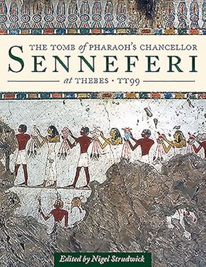 Seller image for Tomb of Pharaoh's Chancellor Senneferi at Thebes (TT99) : The New Kingdom for sale by GreatBookPrices