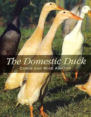 Seller image for Domestic Duck for sale by GreatBookPrices