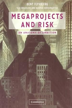 Imagen del vendedor de Megaprojects and Risk : An Anatomy of Ambition a la venta por GreatBookPrices