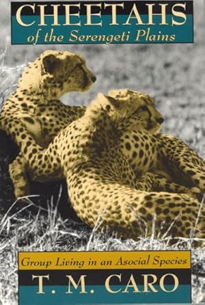 Seller image for Cheetahs of the Serengeti Plains : Group Living in an Asocial Species for sale by GreatBookPrices