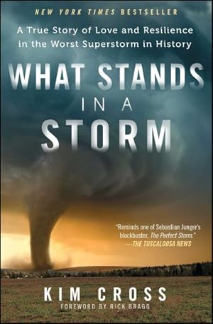 Imagen del vendedor de What Stands in a Storm : A True Story of Love and Resilience in the Worst Superstorm in History a la venta por GreatBookPrices