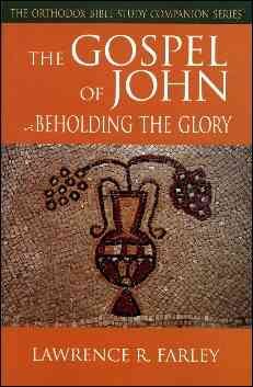 Seller image for Gospel of John : Beholding the Glory for sale by GreatBookPrices