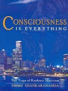 Seller image for Consciousness Is Everything: The Yoga of Kashmir Shaivism for sale by GreatBookPrices