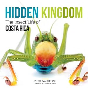 Bild des Verkufers fr Hidden Kingdom : The Insect Life of Costa Rica zum Verkauf von GreatBookPrices