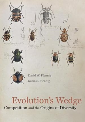 Bild des Verkufers fr Evolution's Wedge : Competition and the Origins of Diversity zum Verkauf von GreatBookPrices