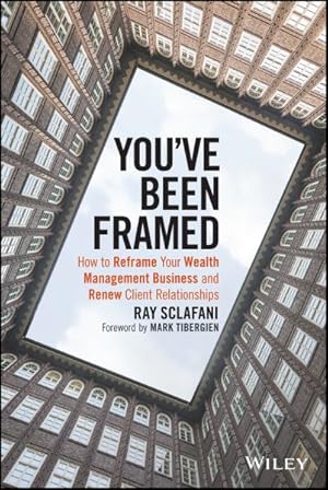 Seller image for You've Been Framed : How to Reframe Your Wealth Management Business and Renew Client Relationships for sale by GreatBookPrices