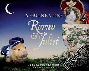 Seller image for Guinea Pig Romeo & Juliet for sale by GreatBookPrices