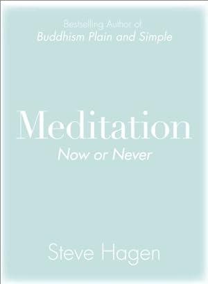 Imagen del vendedor de Meditation Now or Never a la venta por GreatBookPrices