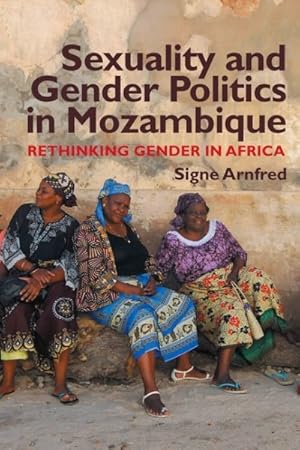 Imagen del vendedor de Sexuality & Gender Politics in Mozambique : Rethinking Gender in Africa a la venta por GreatBookPrices