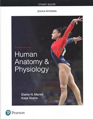 Immagine del venditore per Human Anatomy & Physiology venduto da GreatBookPrices