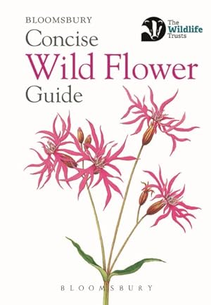 Imagen del vendedor de Concise Wild Flower Guide a la venta por GreatBookPrices