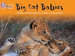 Immagine del venditore per Big Cat Babies : Band 05/Green venduto da GreatBookPrices